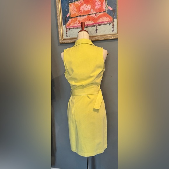 J.McLaughlin Sleeveless Belted Dress - Picture 3 of 7